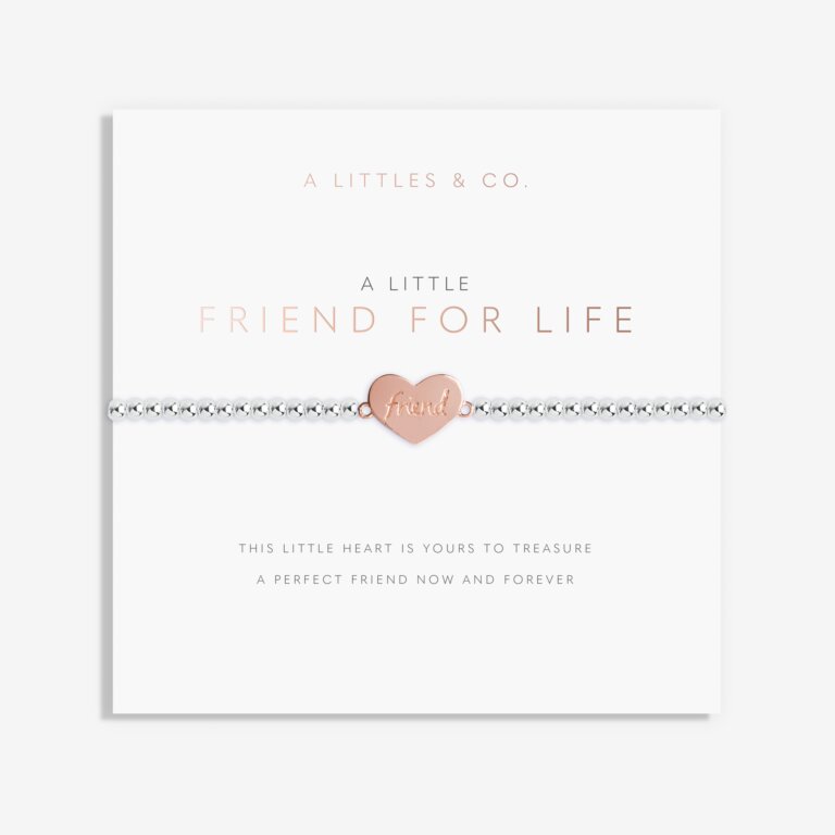 A Little 'Friends For Life' Bracelet