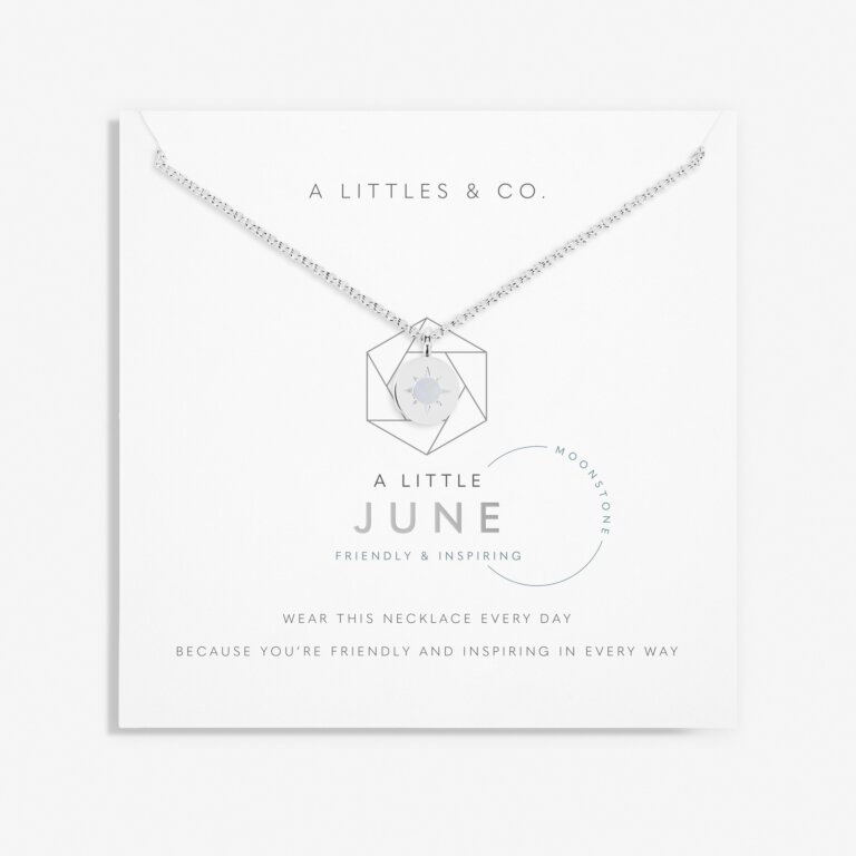 Birthstone A Little Necklace 'June' Moonstone