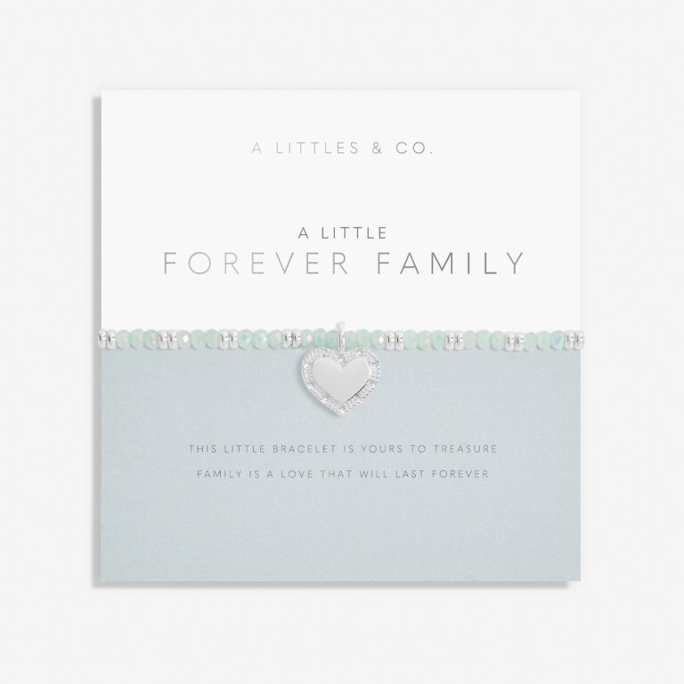Live Life In Color A Little 'Forever Family' Bracelet in Silver Plating