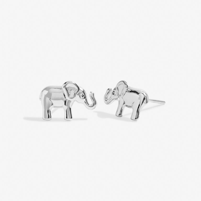 Beautifully Boxed 'Lucky Elephant' Earrings in Silver Plating