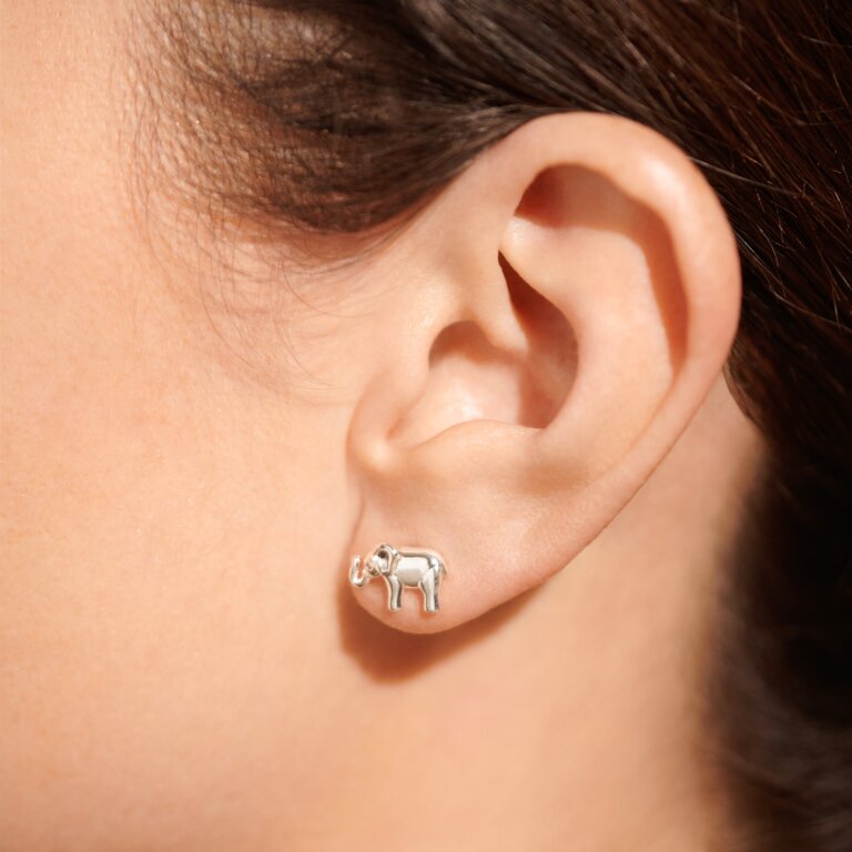 Beautifully Boxed 'Lucky Elephant' Earrings in Silver Plating