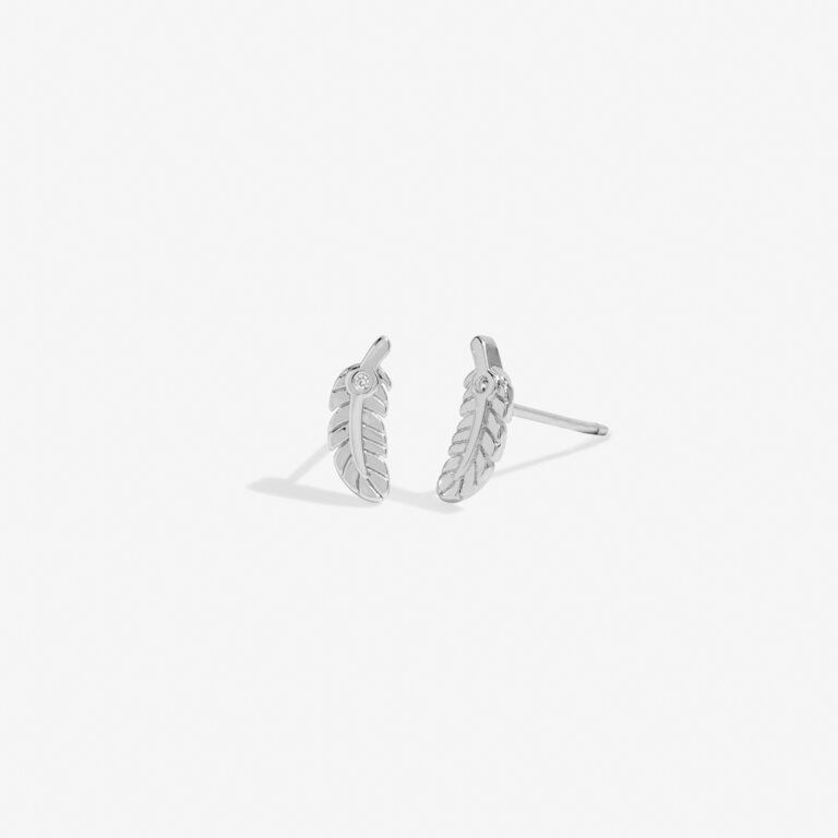 Beautifully Boxed 'Feathers Appear When Loved Ones Are Near' Earrings in Silver Plating