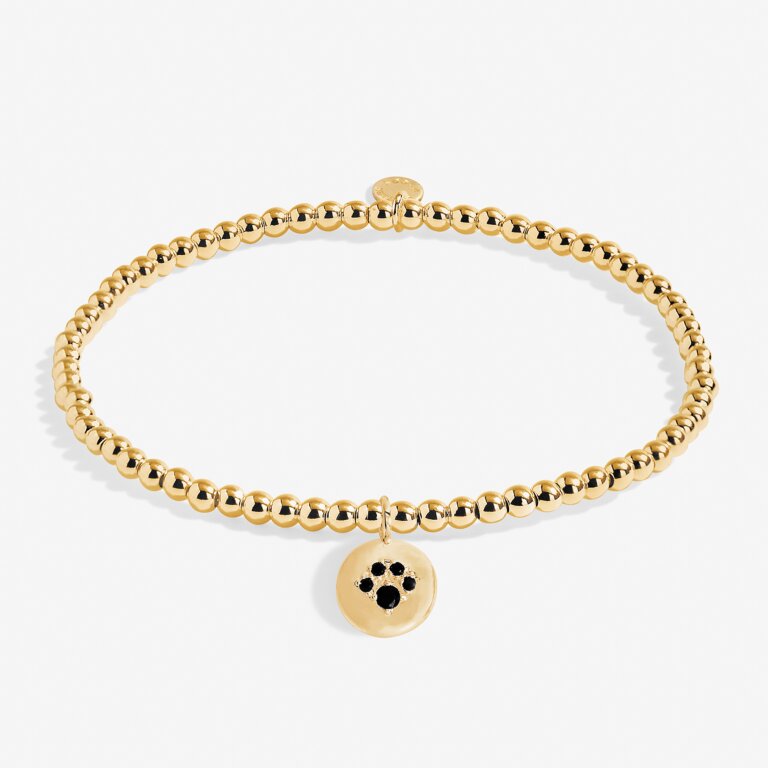 A Little 'Paw Print' Bracelet in Gold-Tone Plating