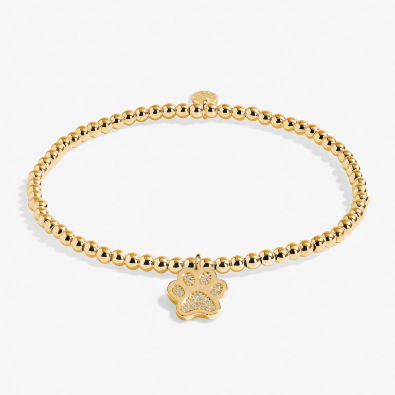 A Little 'Love Has Four Paws' Bracelet in Gold-Tone Plating