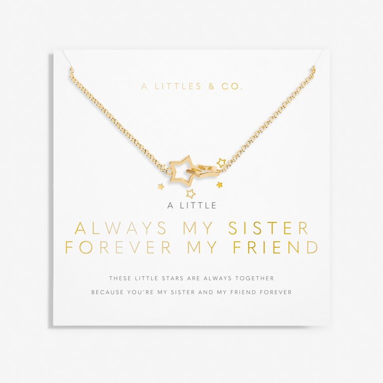 A Little 'Always My Sister Forever My Friend' Necklace in Gold-Tone Plating