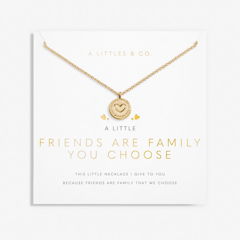 A Little 'Friends Are Family You Choose' Necklace in Gold-Tone Plating