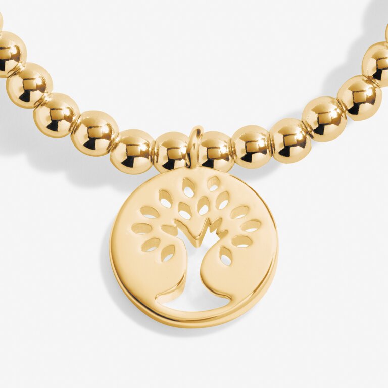 A Little 'Family' Bracelet in Gold-Tone Plating