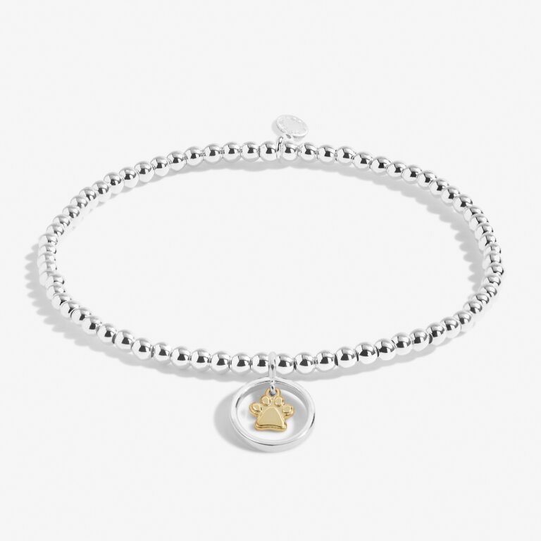 Boxed A Little 'Pets Leave Pawprints On Our Hearts' Bracelet In Silver Plating And Gold-Tone Plating