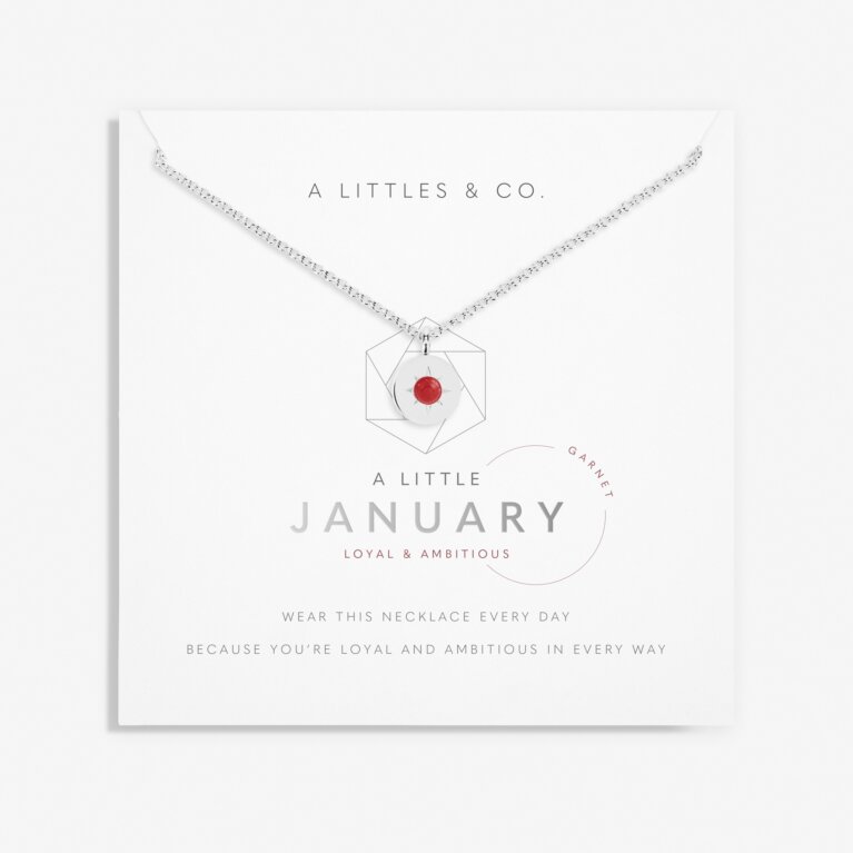 Birthstone A Little Necklace 'January' Garnet