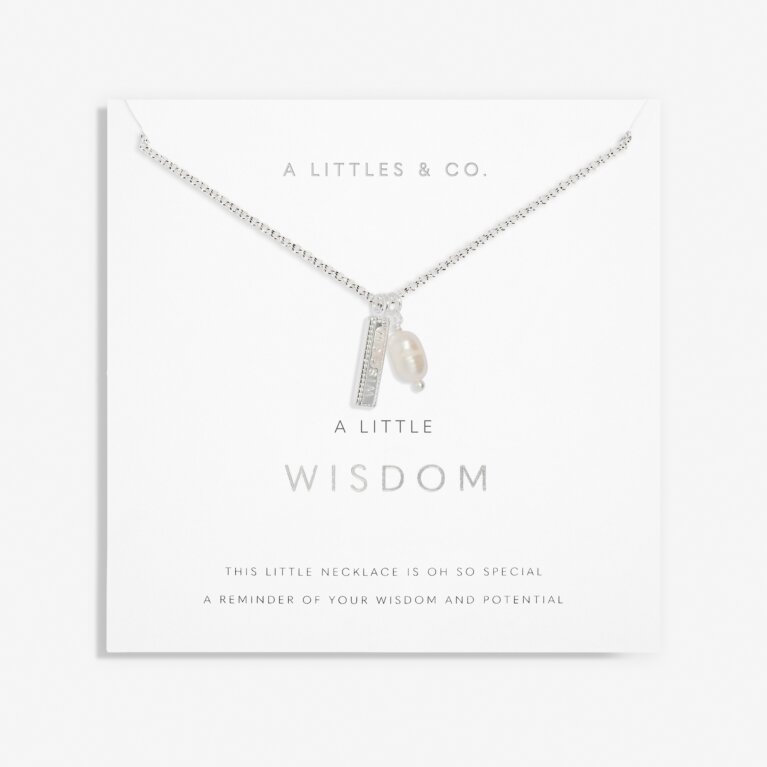 A Little 'Wisdom' Necklace In Silver Plating